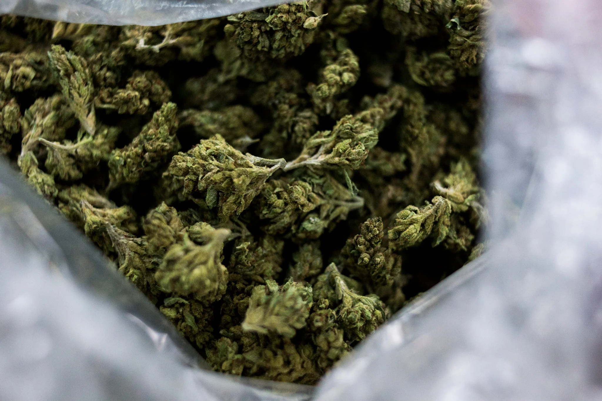 ‘Getting Worse, Not Better’: Illegal Pot Market Booming in California Despite Legalization
