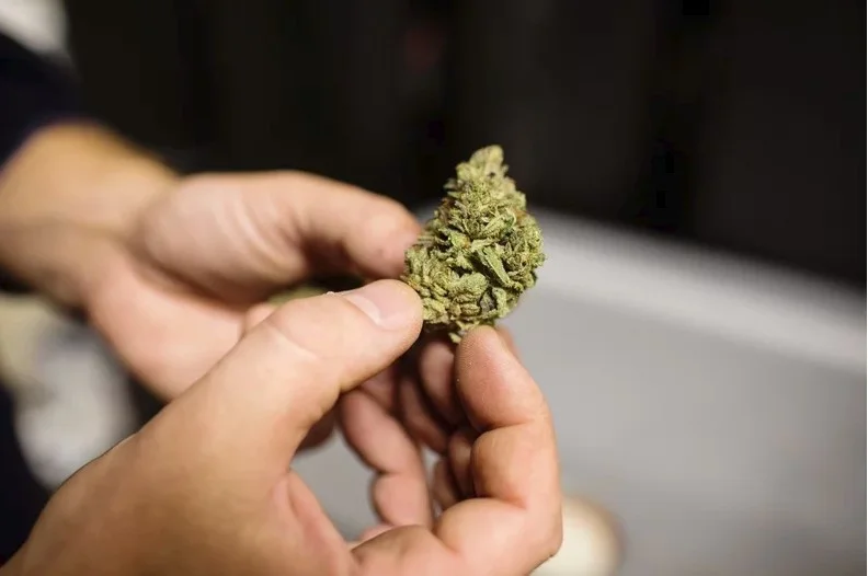 Failure to legalize weed is blessing in disguise for New York