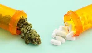 Marijuana legalization is not harmless