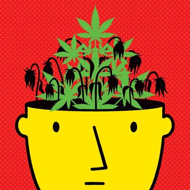 Cannabis Is Linked to Mental Illness