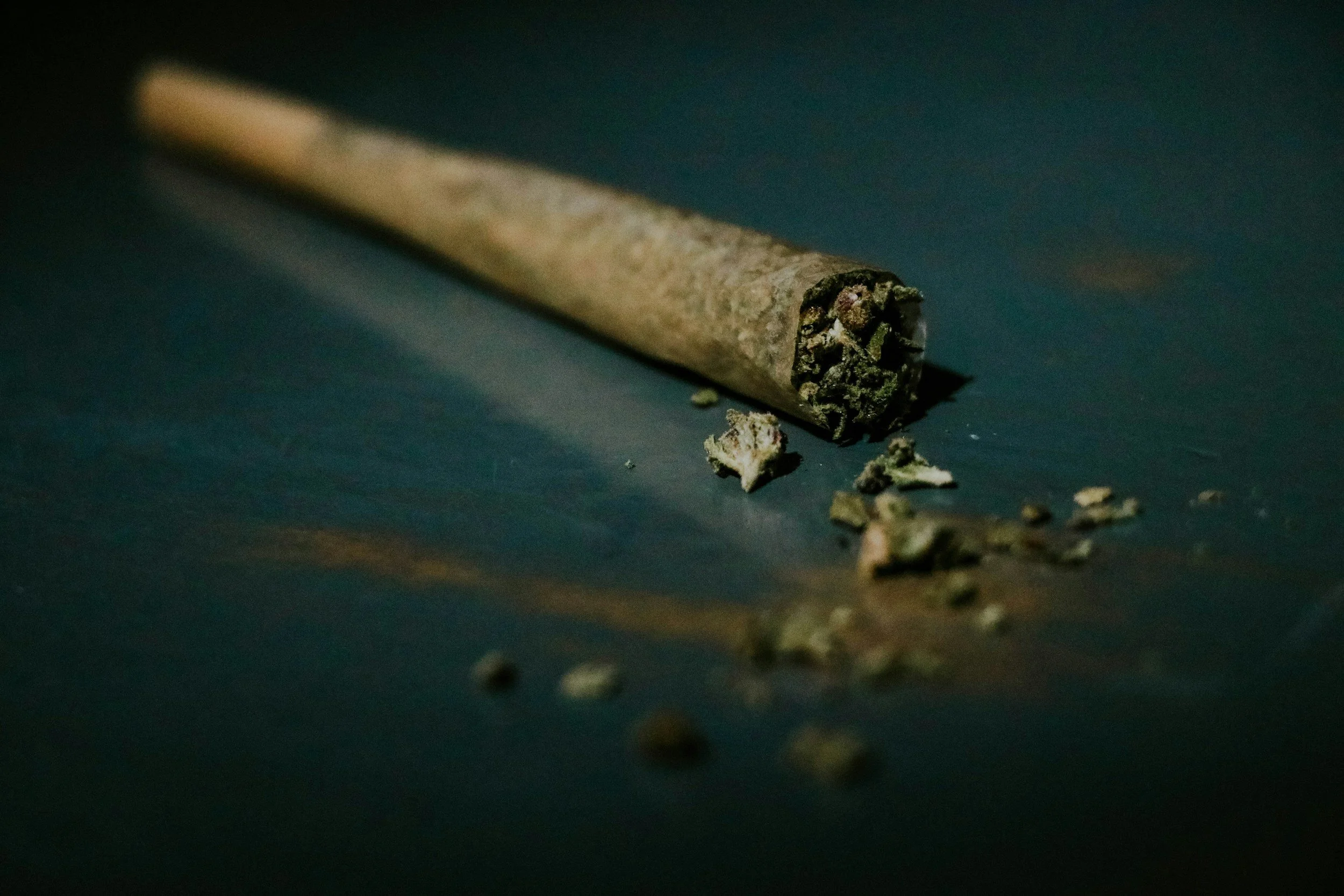 Research links cannabis use disorder to higher death risk