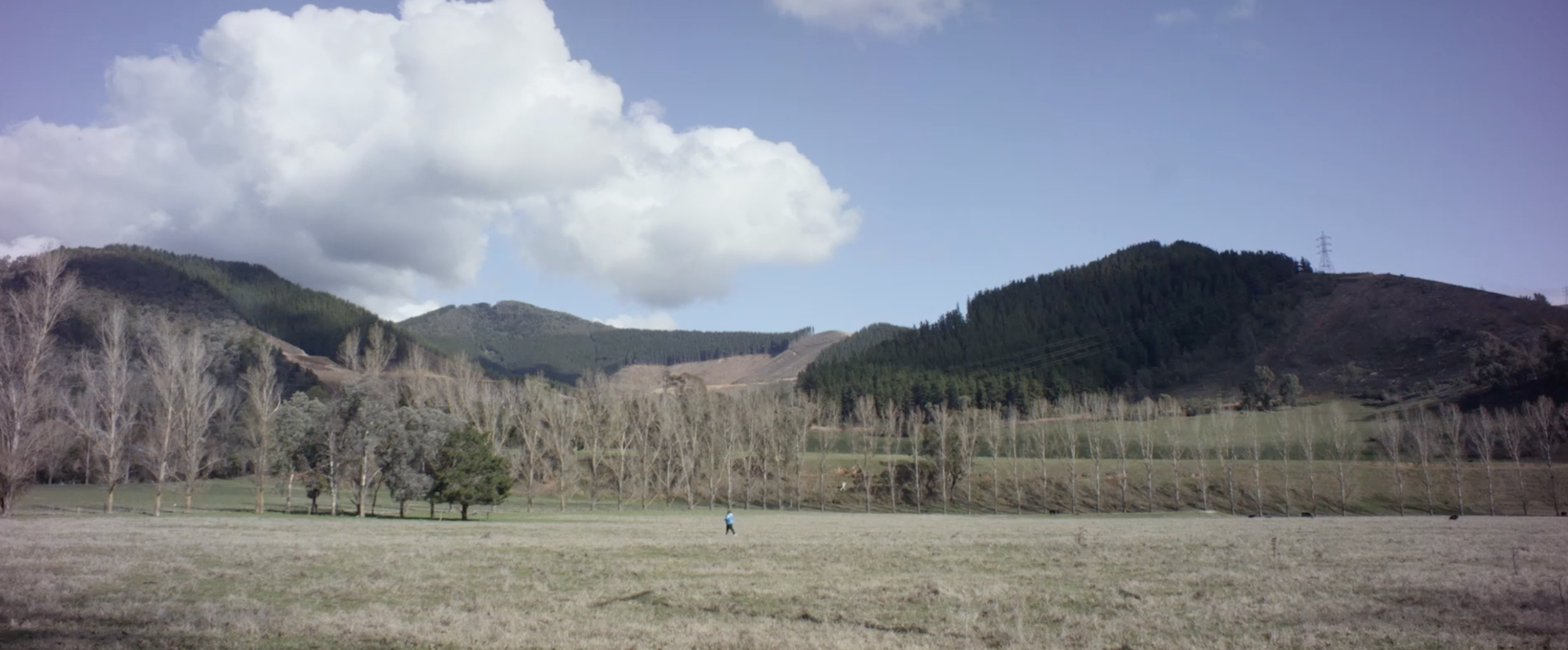 CANCER COUNCIL | HOW FAR DO YOU HAVE TO RUN?