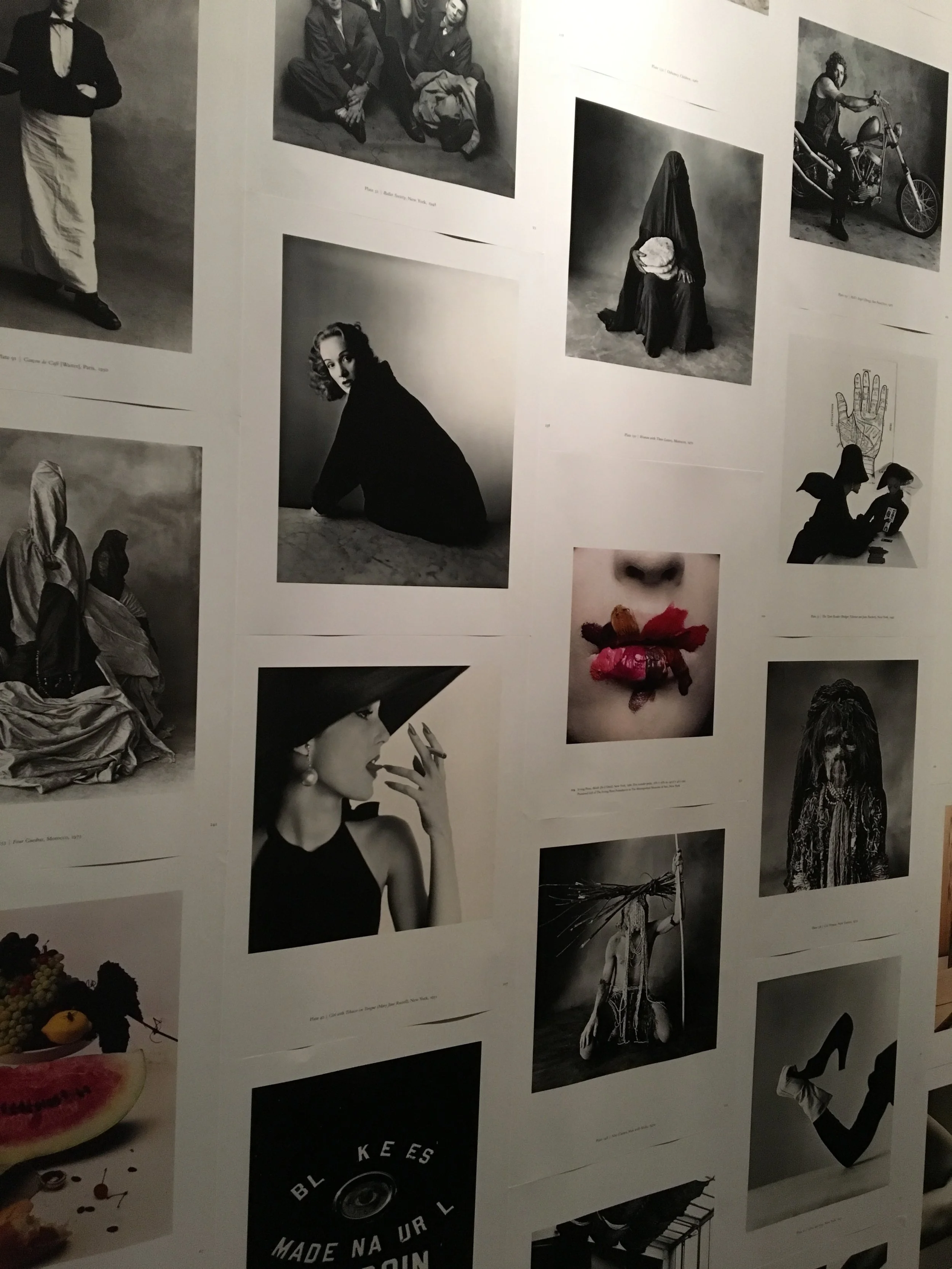 Irving Penn at The Met