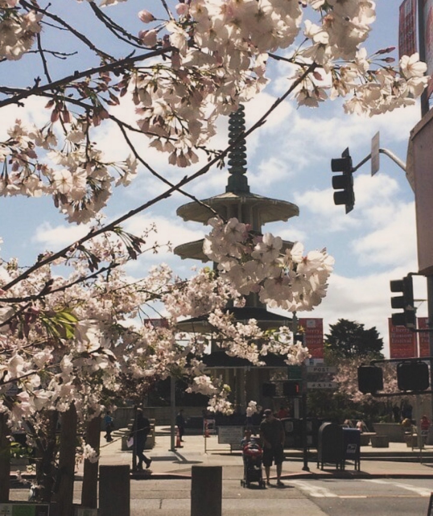 The Japantown neighborhood in San Francisco comes to life in the spring when the cherry blossoms start to bloom. This is also when more than 200,000 people flock to this little district for the annual Cherry Blossom Festival.  The 2024 festival will 