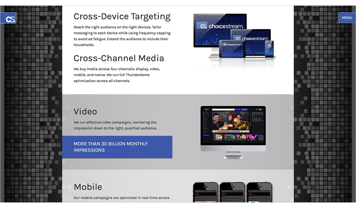 choicestream marketing tool.jpg
