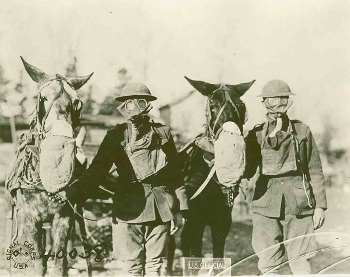 AEF Carrying Party - Masks for Mules