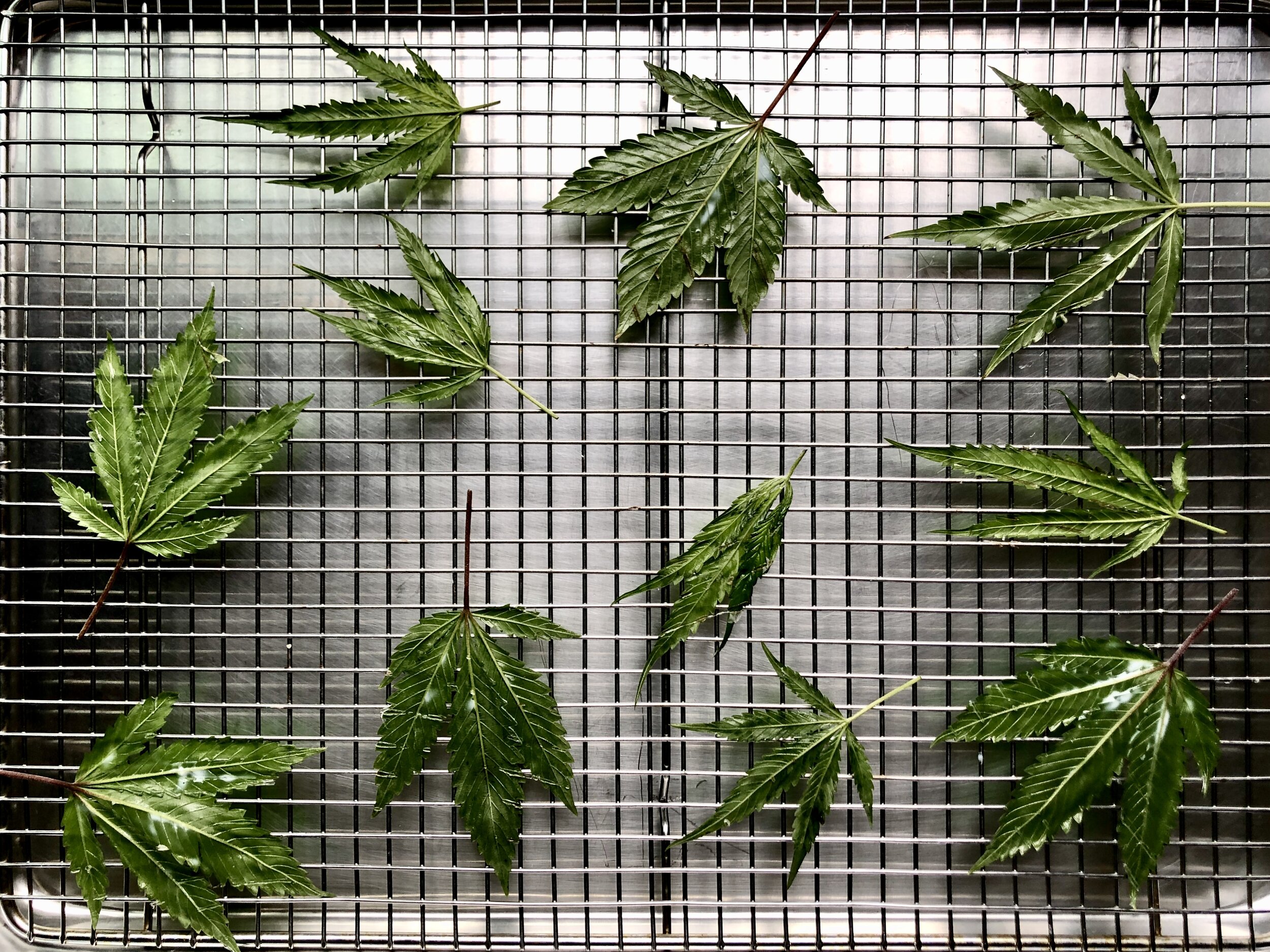 Canna Gift Wrapping: A Collab with Mellows &amp; Cannaisseur Series