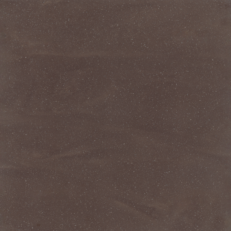 CSS_Artista_Mocha_Scan_RGB.png