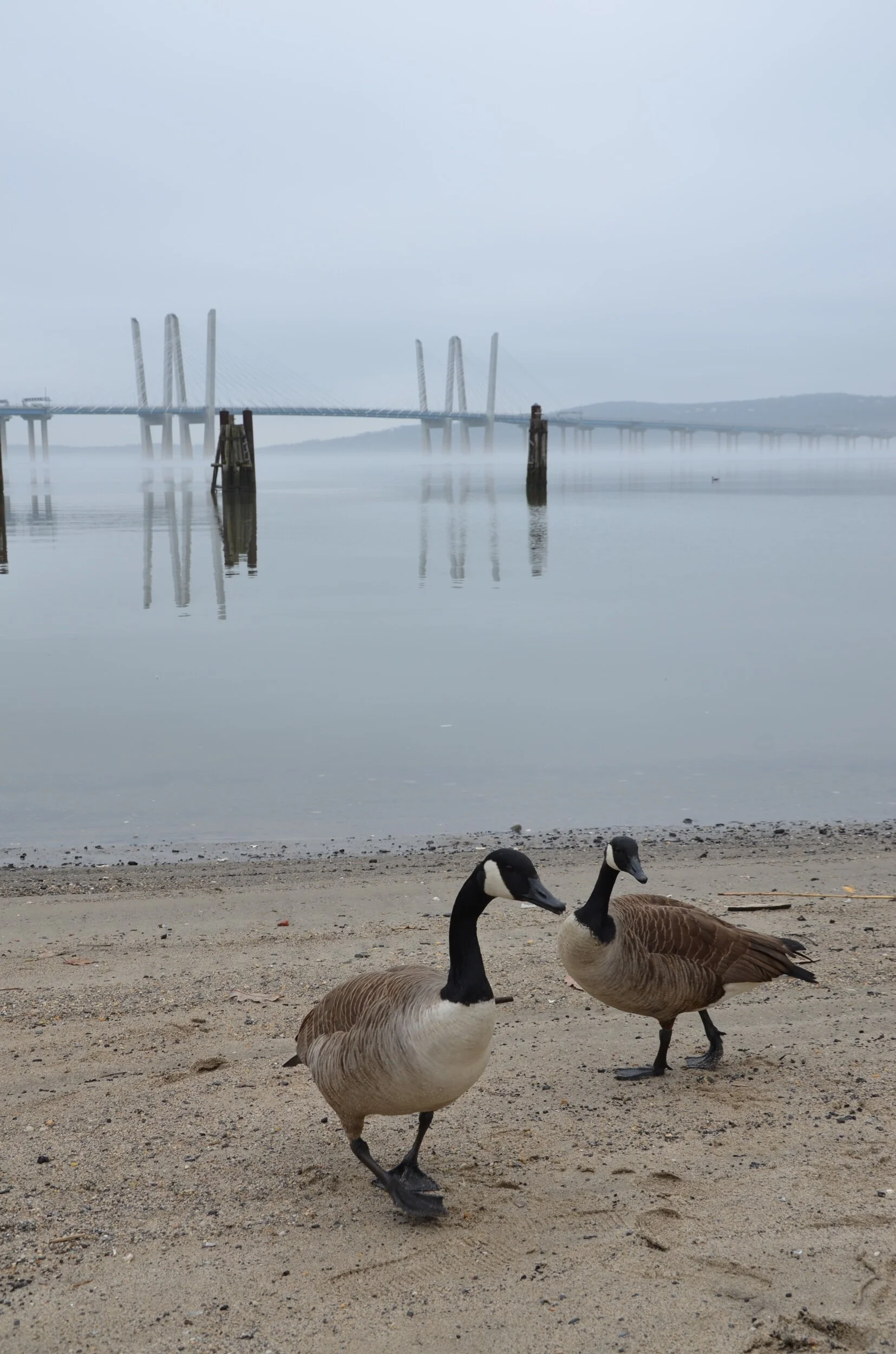 Tarrytown and Sleepy Hollow