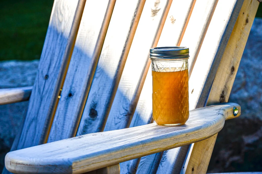 Happy Hour in Bar Harbor Maine