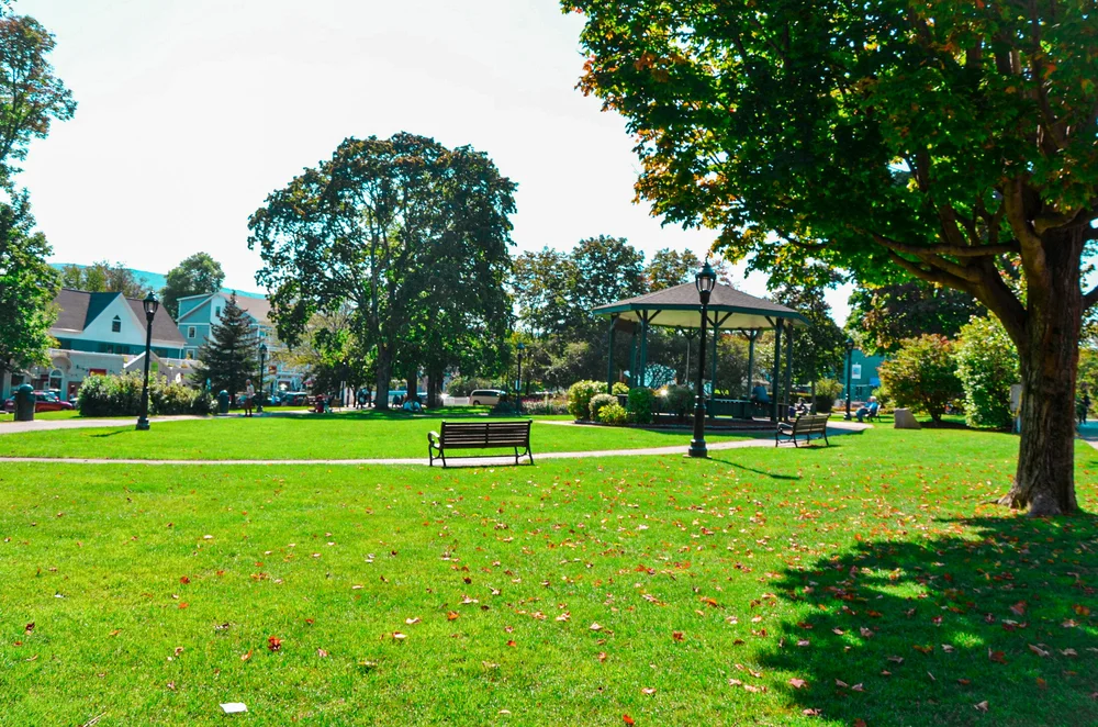 where-to-eat-in-bar-harbor-maine-