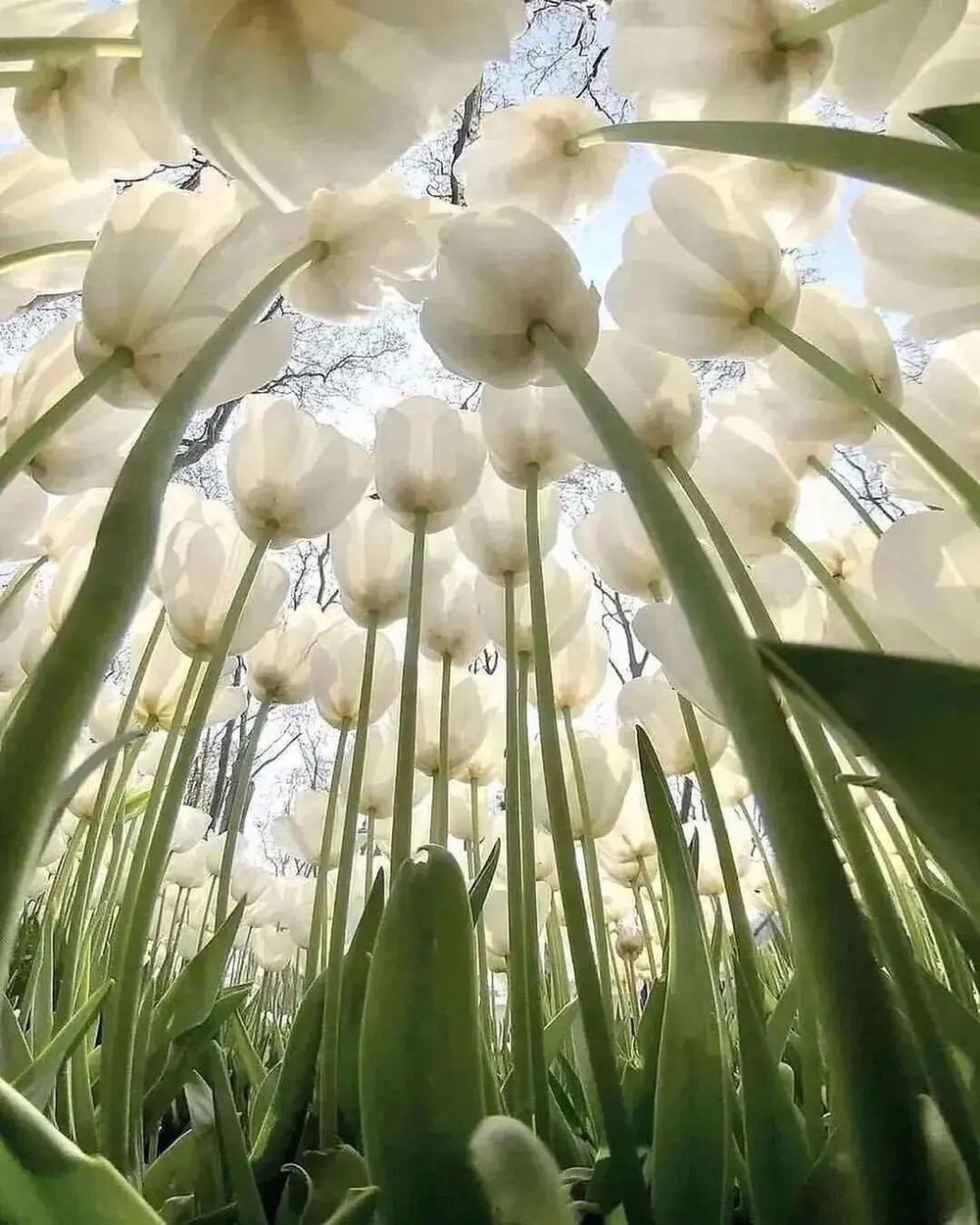 Would you like to visit this beautiful place?😍
. 
 
.
📸 By Unknown
. 
&lt;Tags&gt;
➖
#TravellingLife #TravelPictures_World #TravelHub #TravelExploring #TravelForPassion #Travelettes #Travelism #TravelPix #TravelTherapy #TravelForever #TravelWorld_A