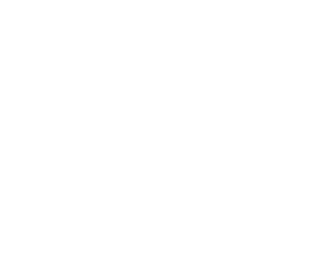 RenaBlikk
