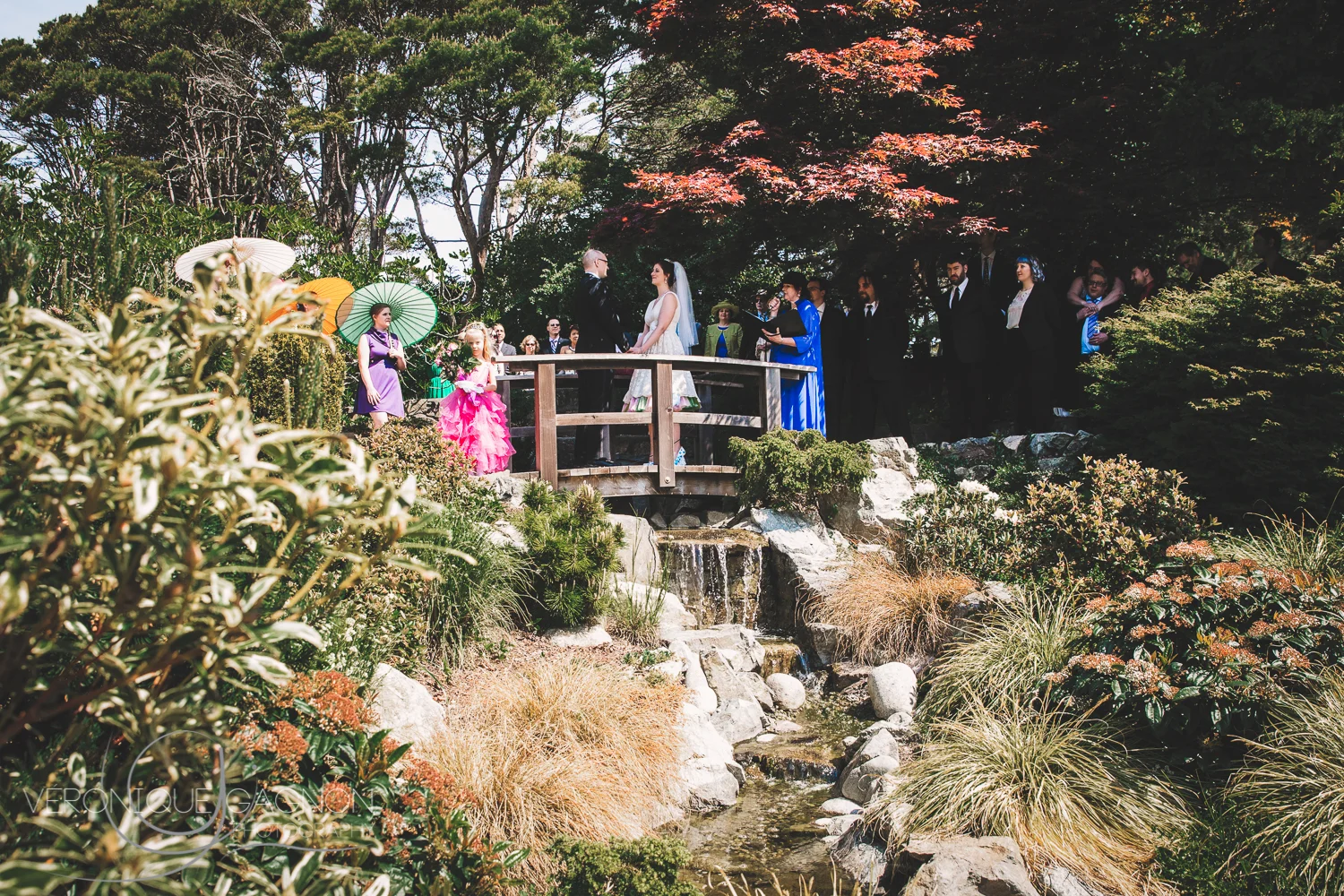 Perfect casual wedding ceremony location at the Japanese gardens.