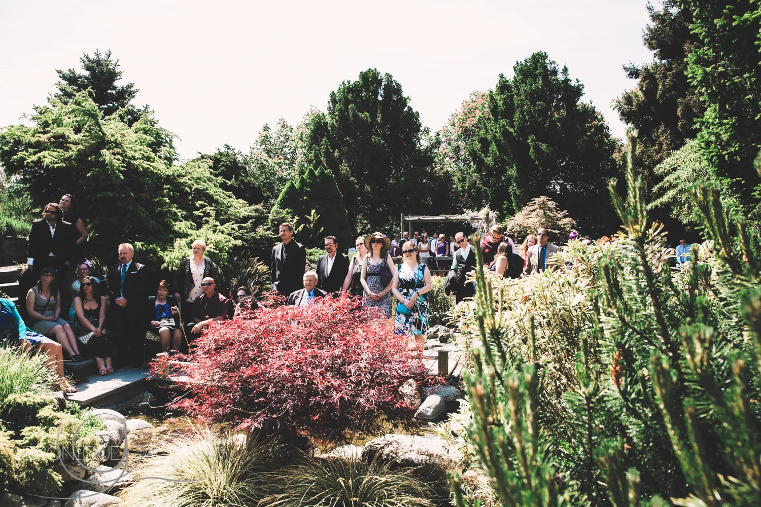 Veronique Gagnon Photography, Victoria BC, Wedding