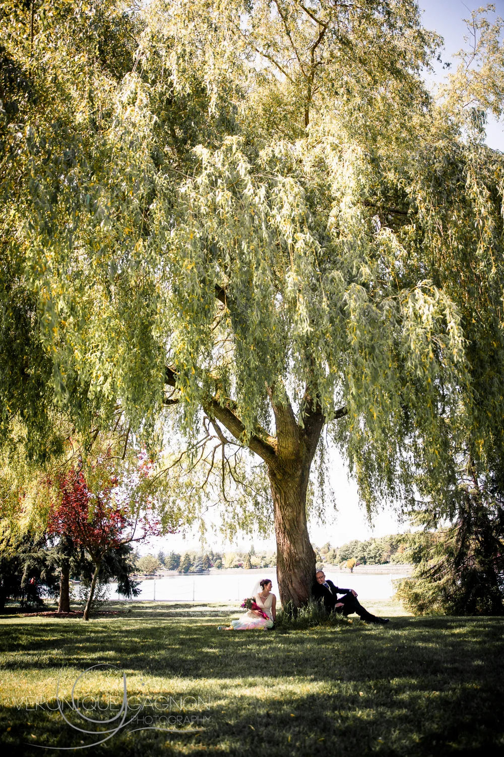 Tiny bride and groom under the biggest willow tree I have ever seen!