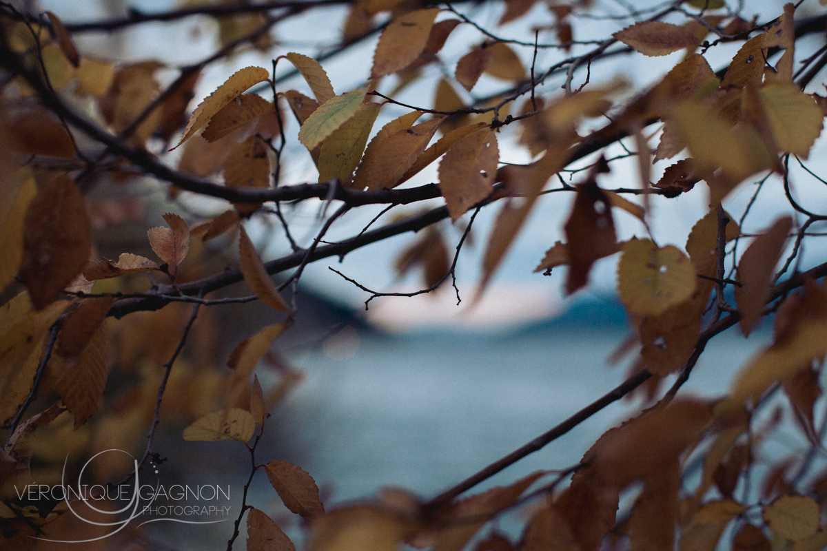 veronique Gagnon Photography