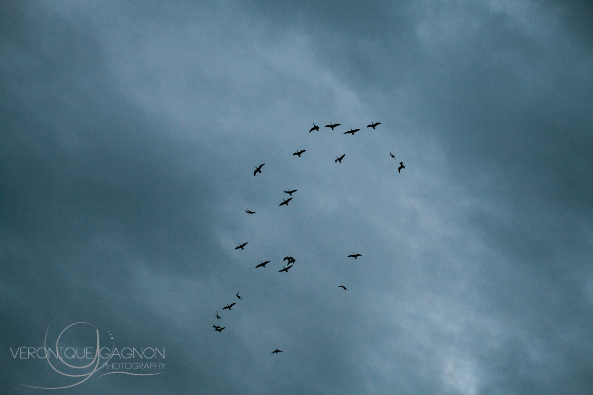 veronique Gagnon Photography