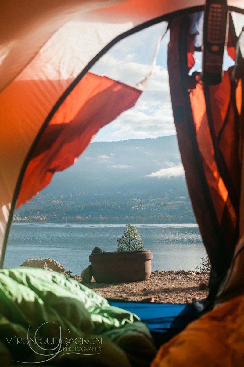 The best way to wake up.