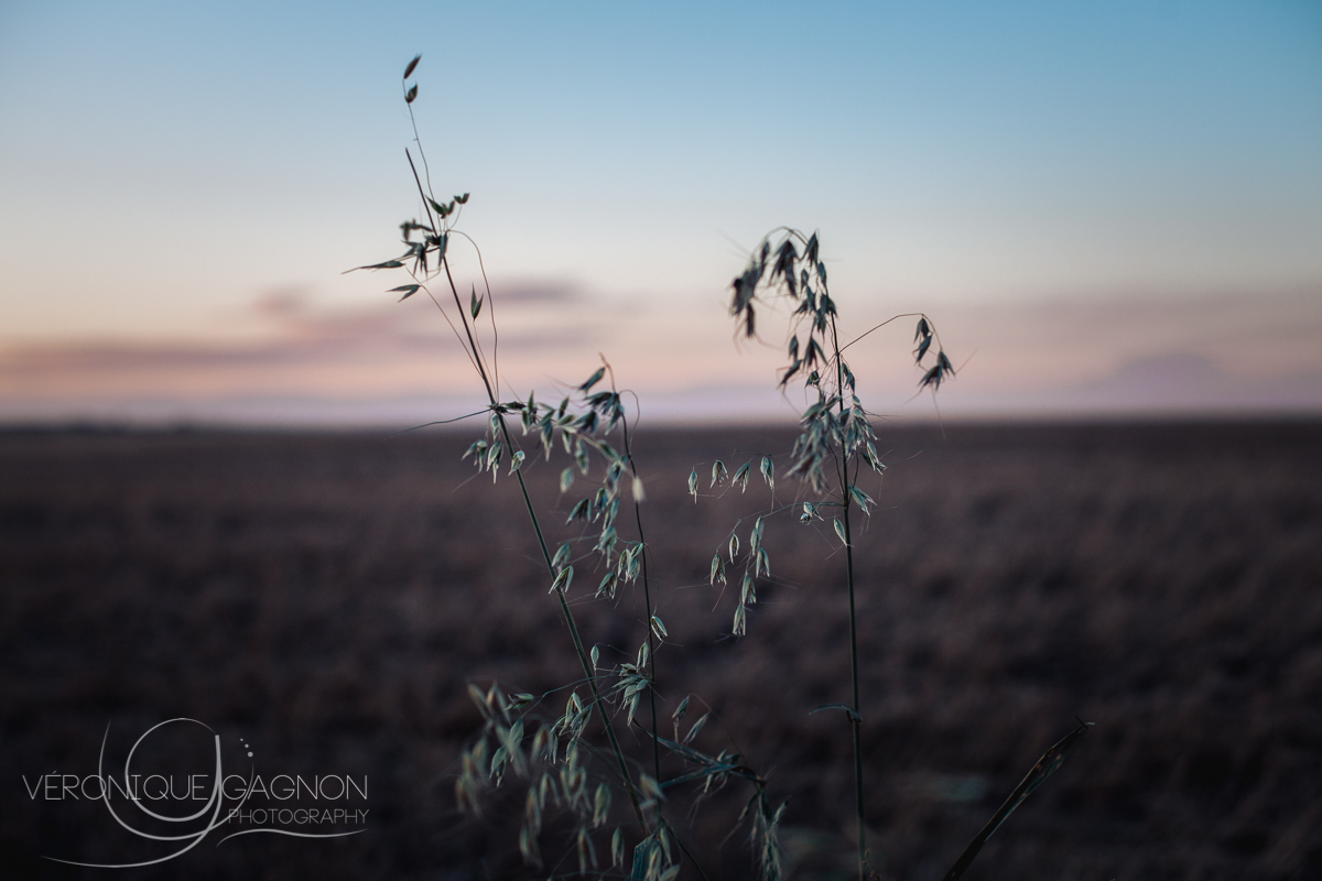 veronique Gagnon Photography