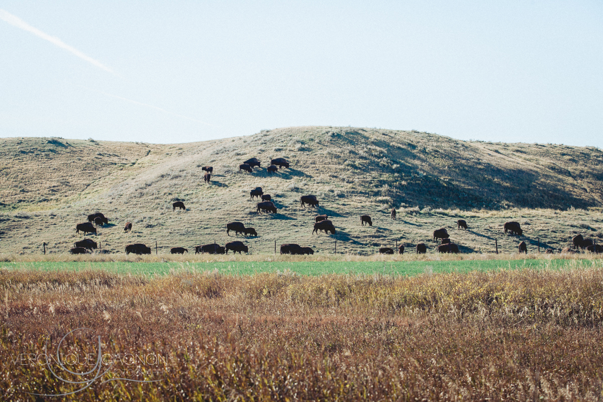 veronique Gagnon Photography