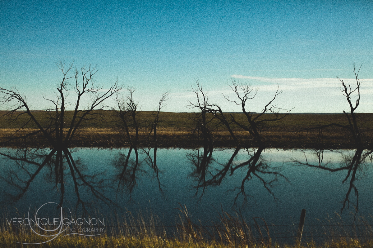 veronique Gagnon Photography