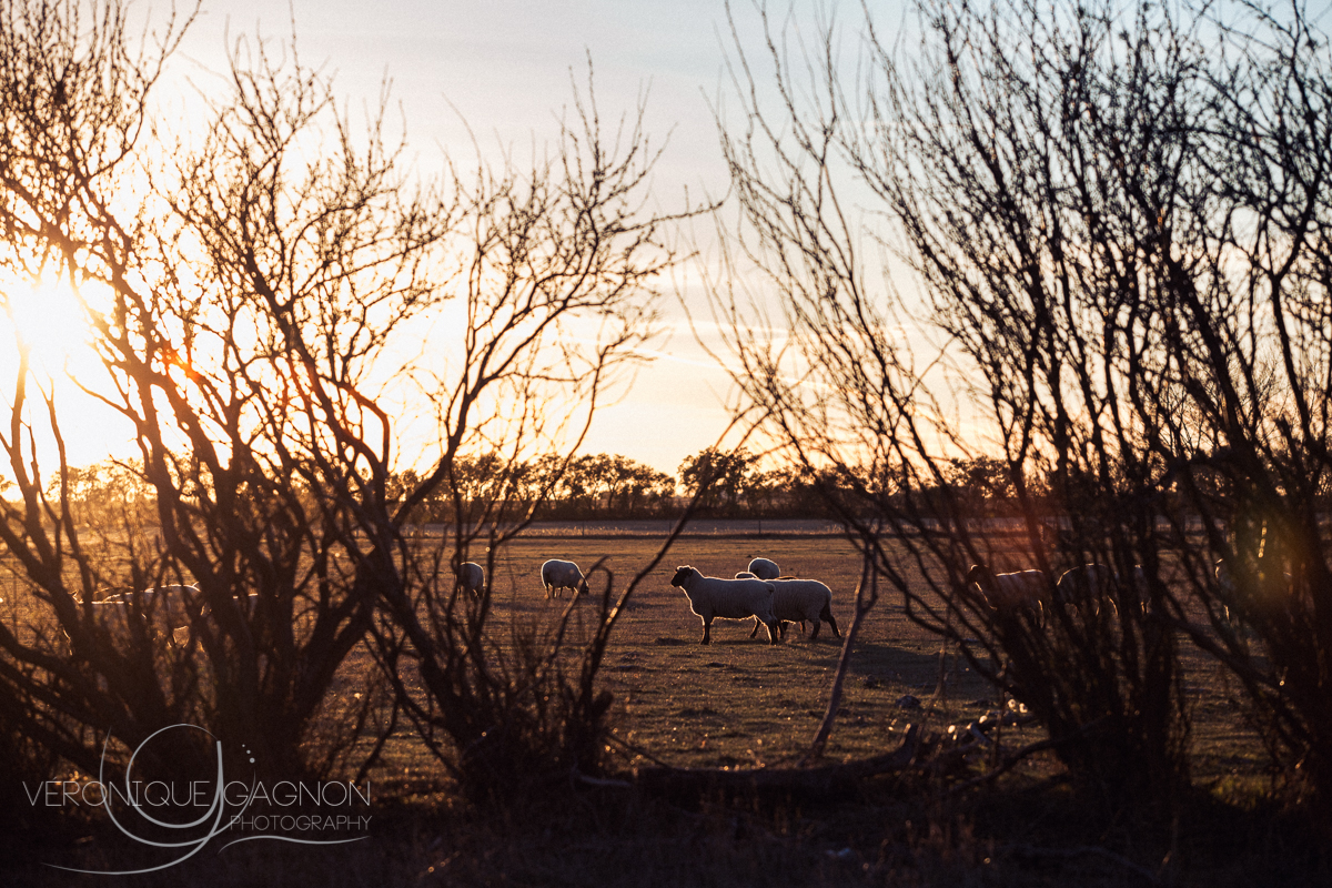 veronique Gagnon Photography