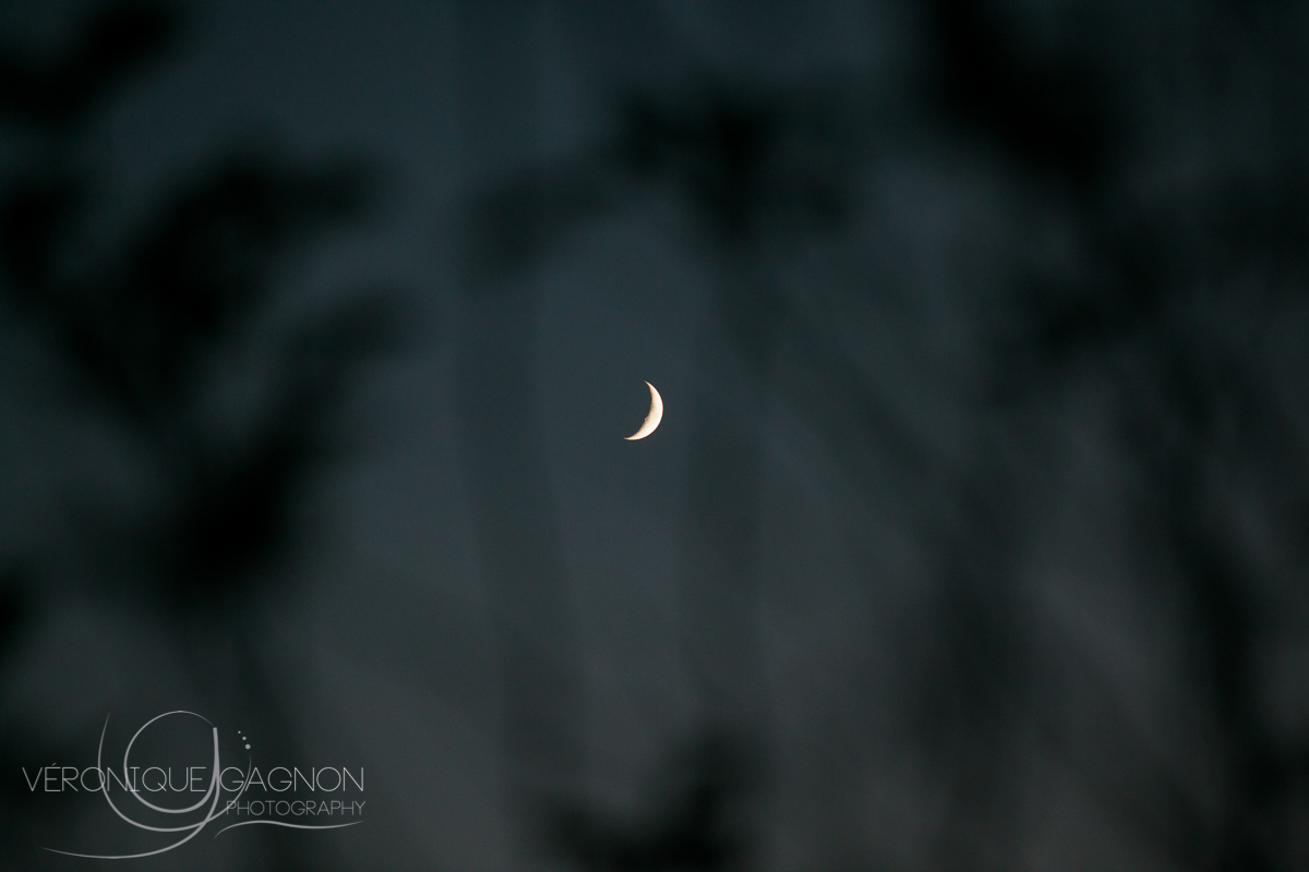 veronique Gagnon Photography