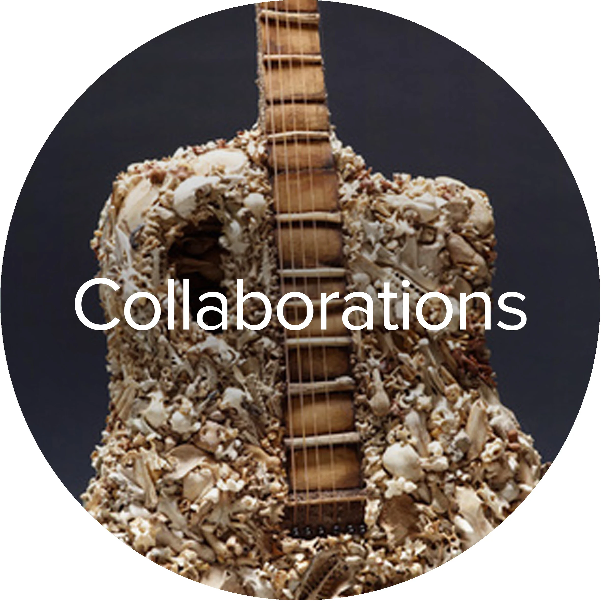 Bone Guitar.jpg