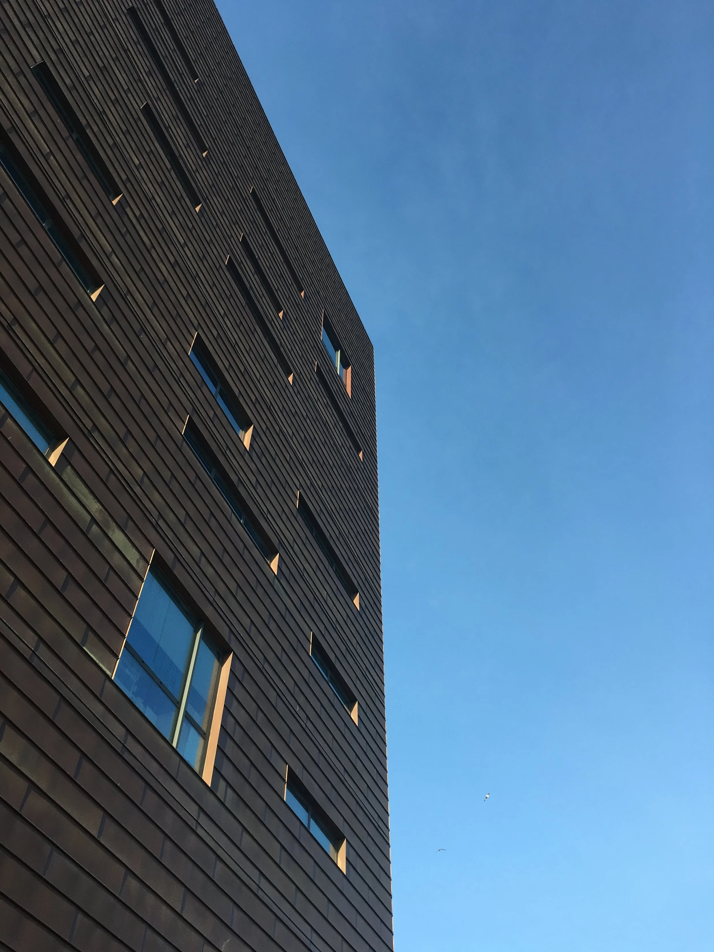 Roland Levinsky Building 