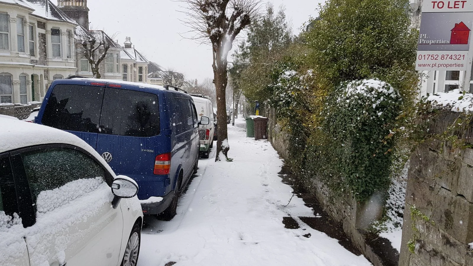 snow1.jpg