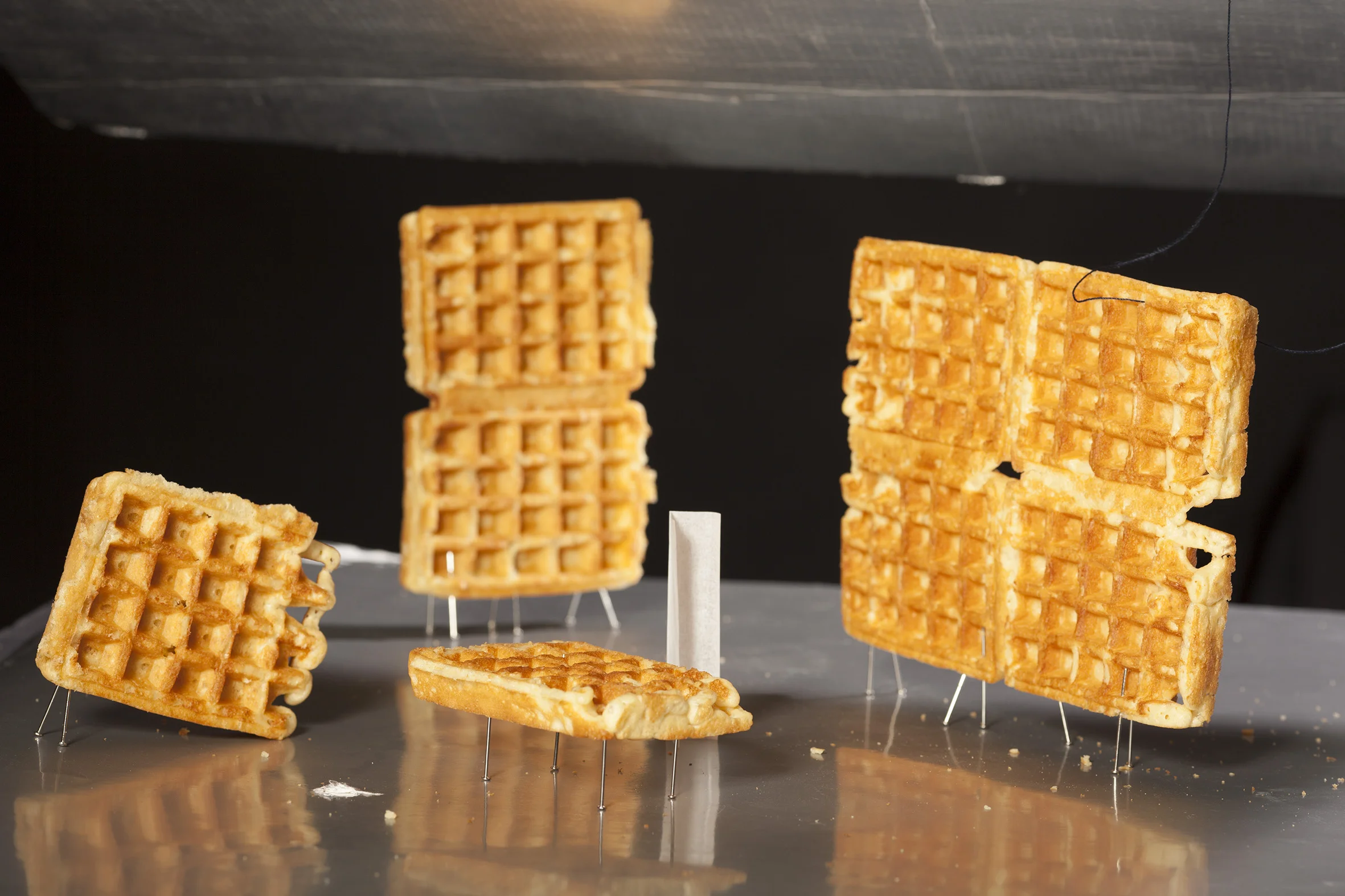 The waffle replied with dignity (the waffle theatre ) ©wv2018