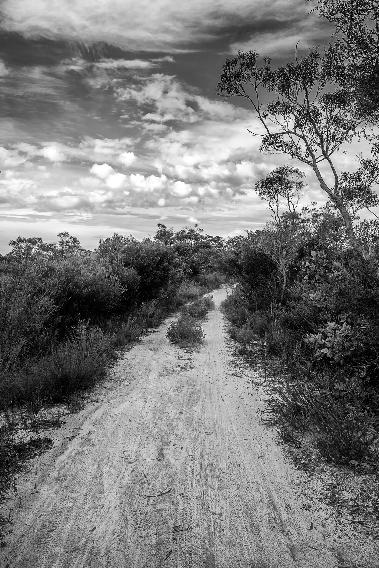 Kuringgai I