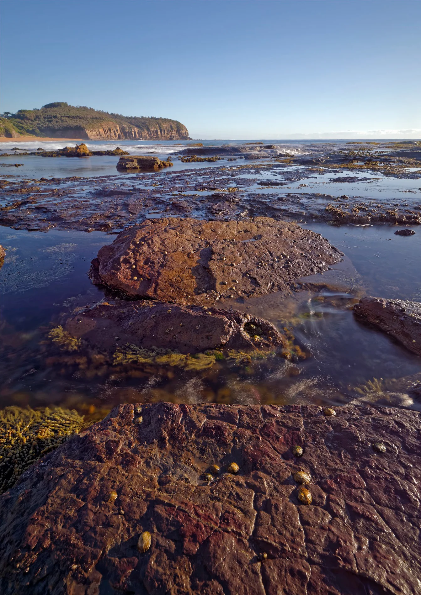 Turimetta IV