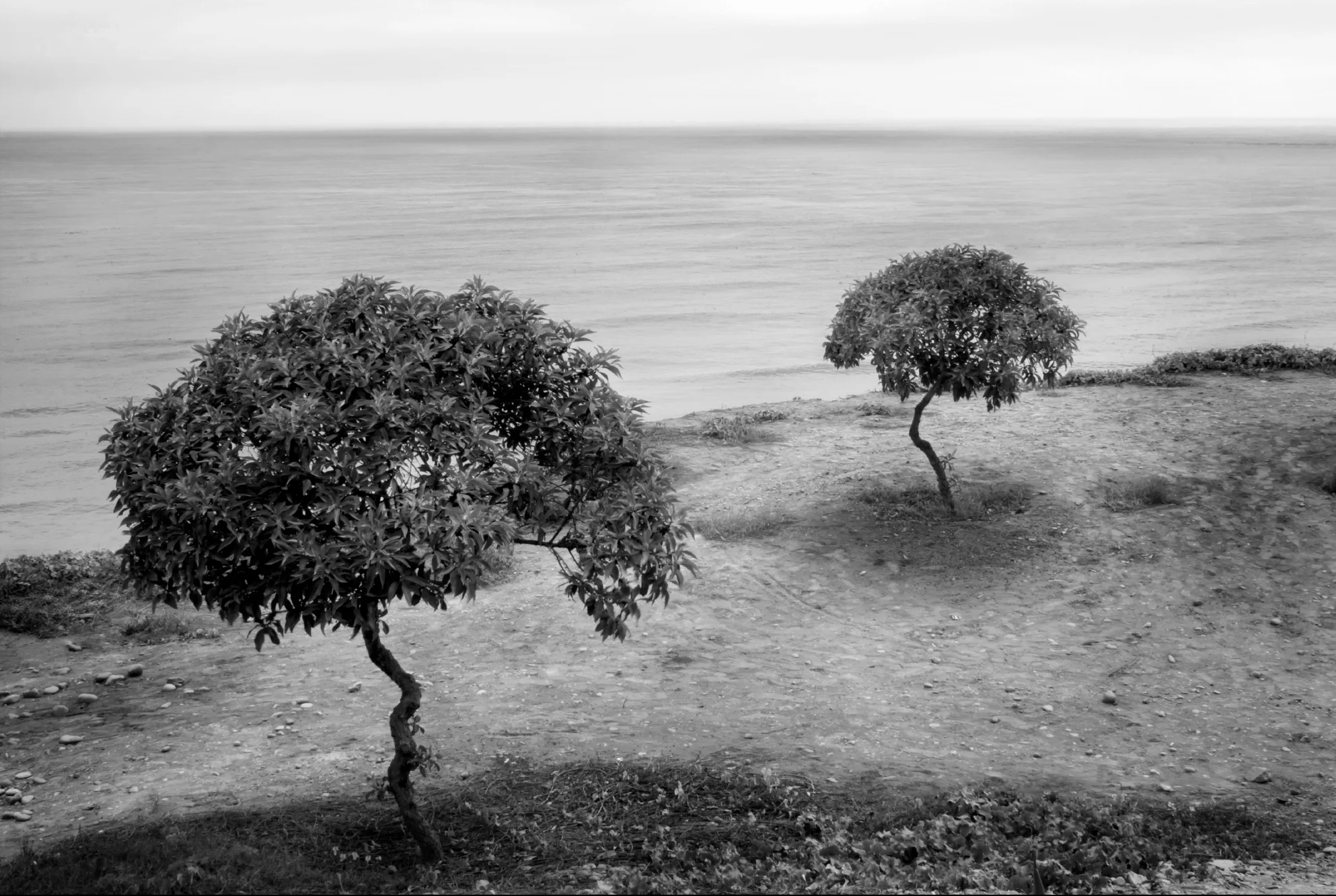 Lima I, Peru