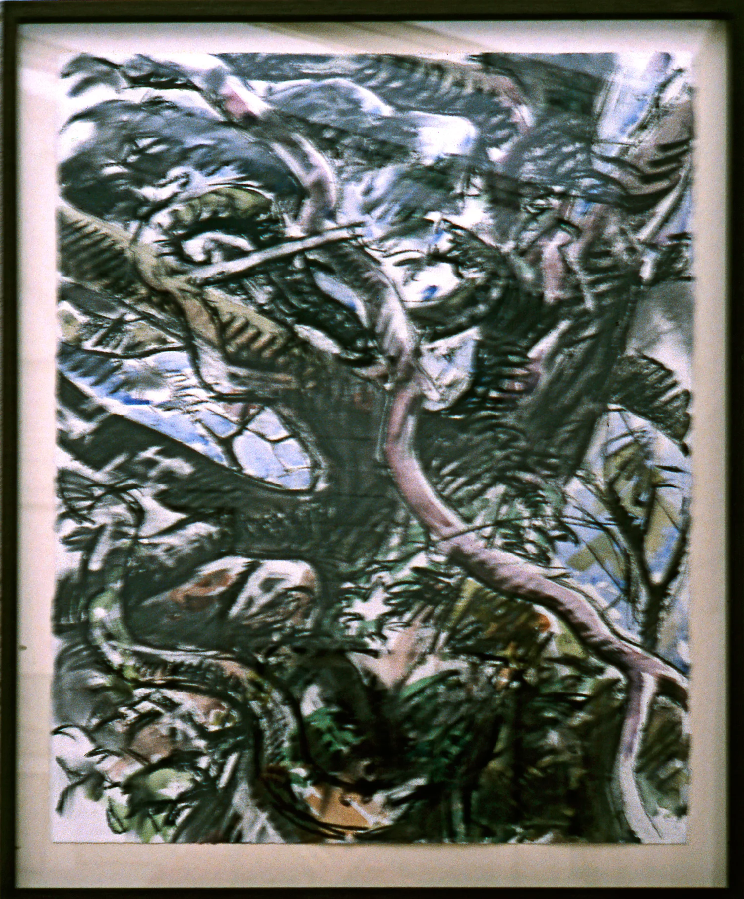 DEAD OAK Charcoal & watercolour, 86cm x 66cm