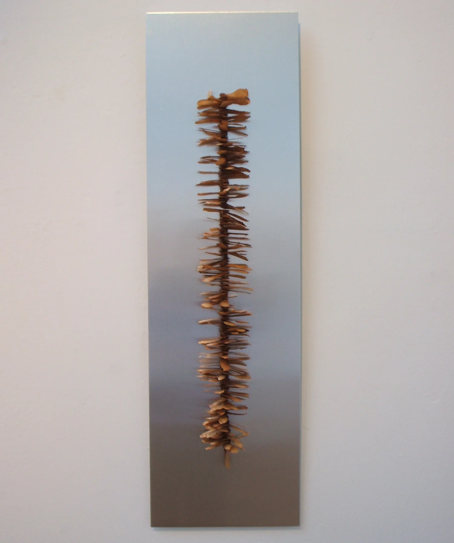 SYCAMORE SEEDS Seeds on aluminium, 82cm x 24cm