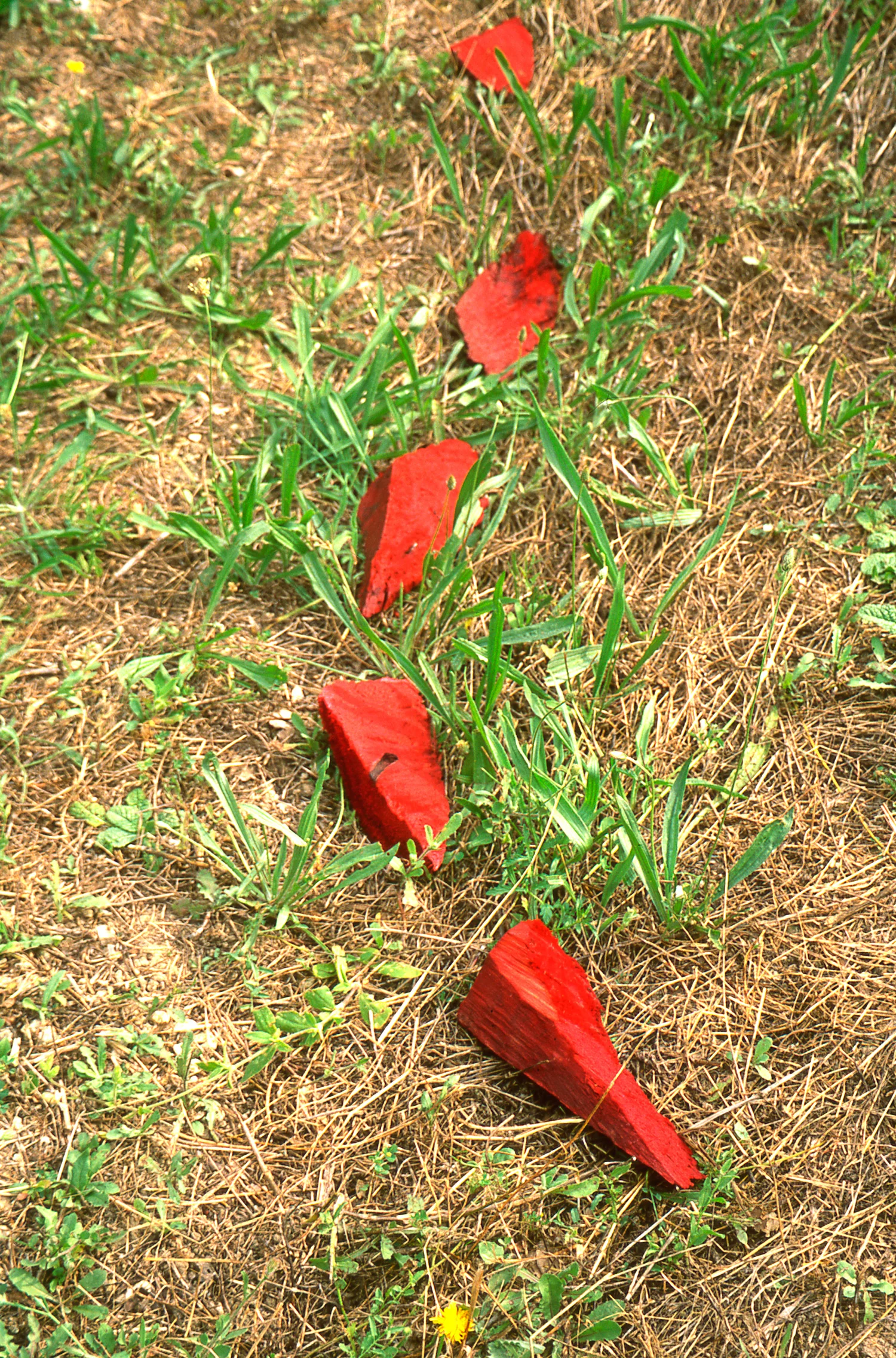 38-Art-in-situ-(2).jpg
