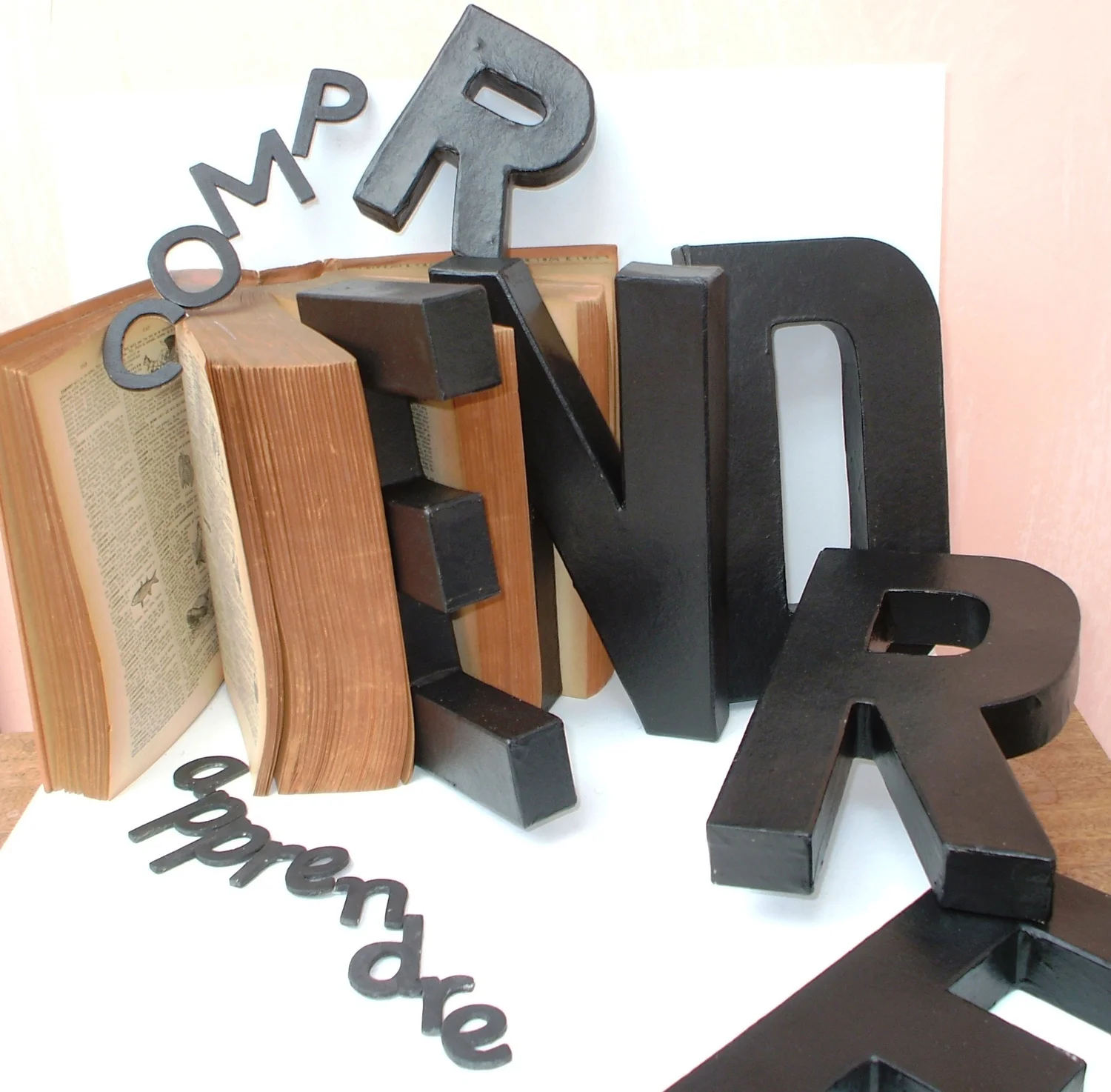 COMPRENDRE Dictionary, cardboard and wood