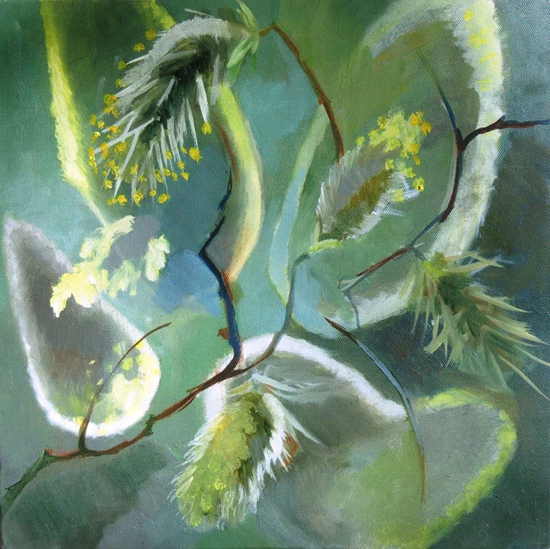 PUSSY WILLOW CATKINS 