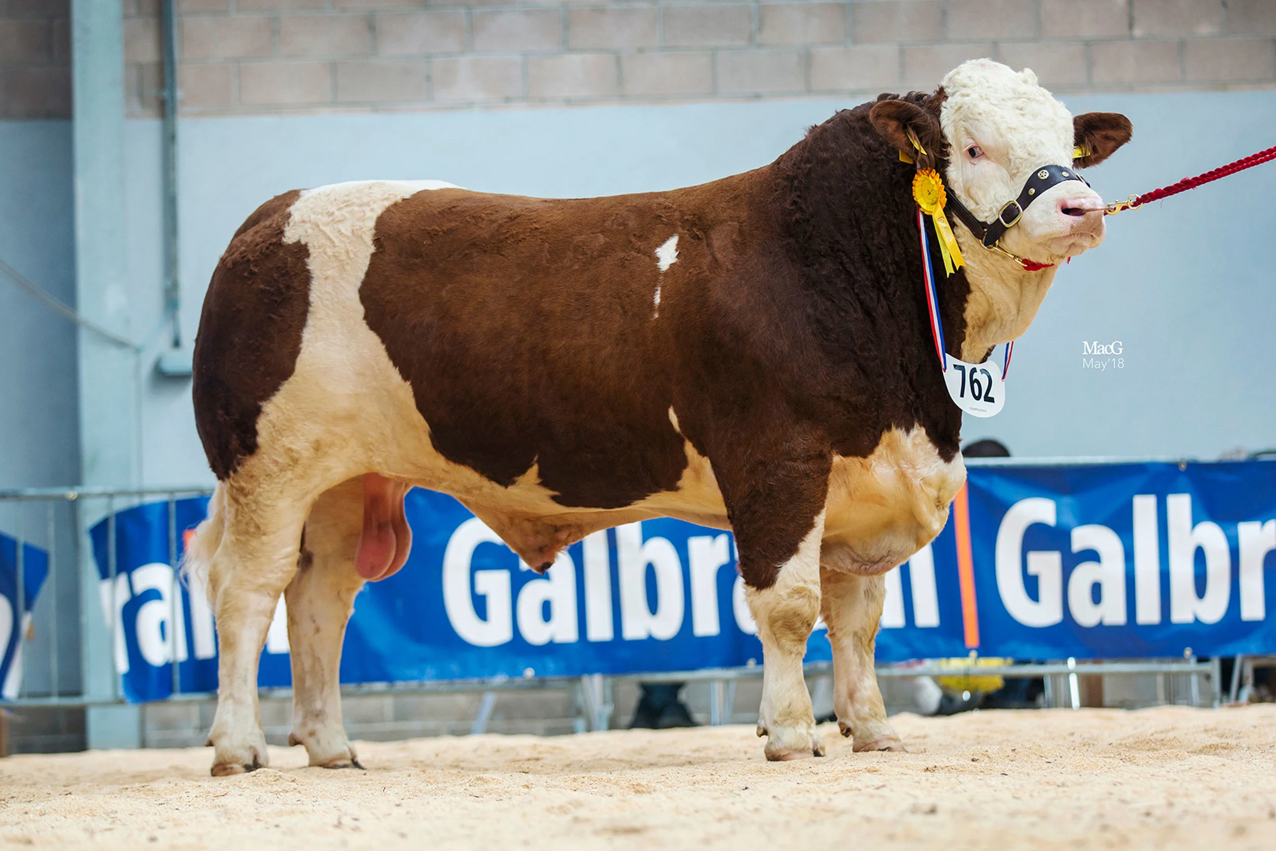 762-Keeldrum-Hi-Flyer-5800gns-3658.jpg