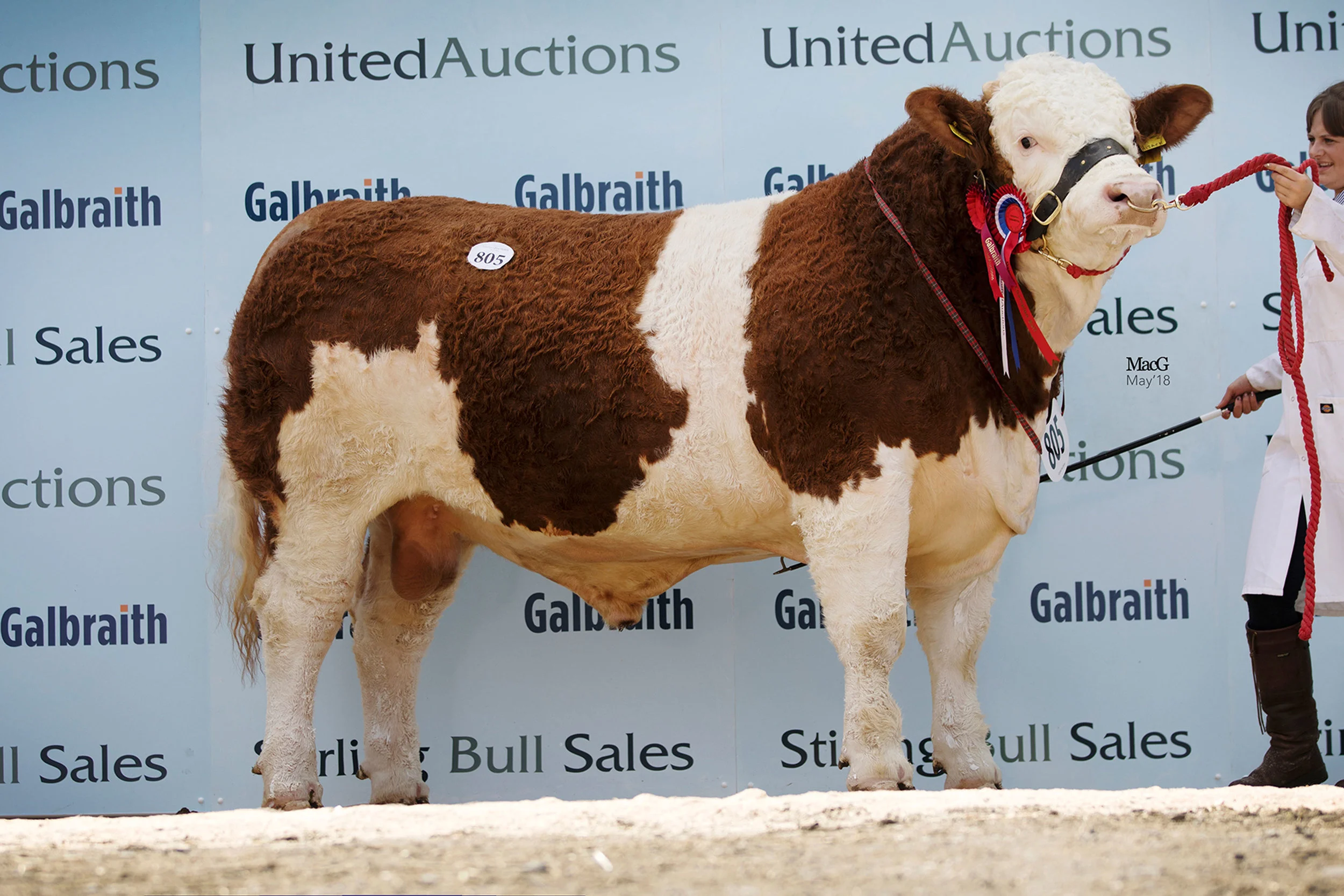 805-Islavale-Hijack-4800gns-1420.jpg