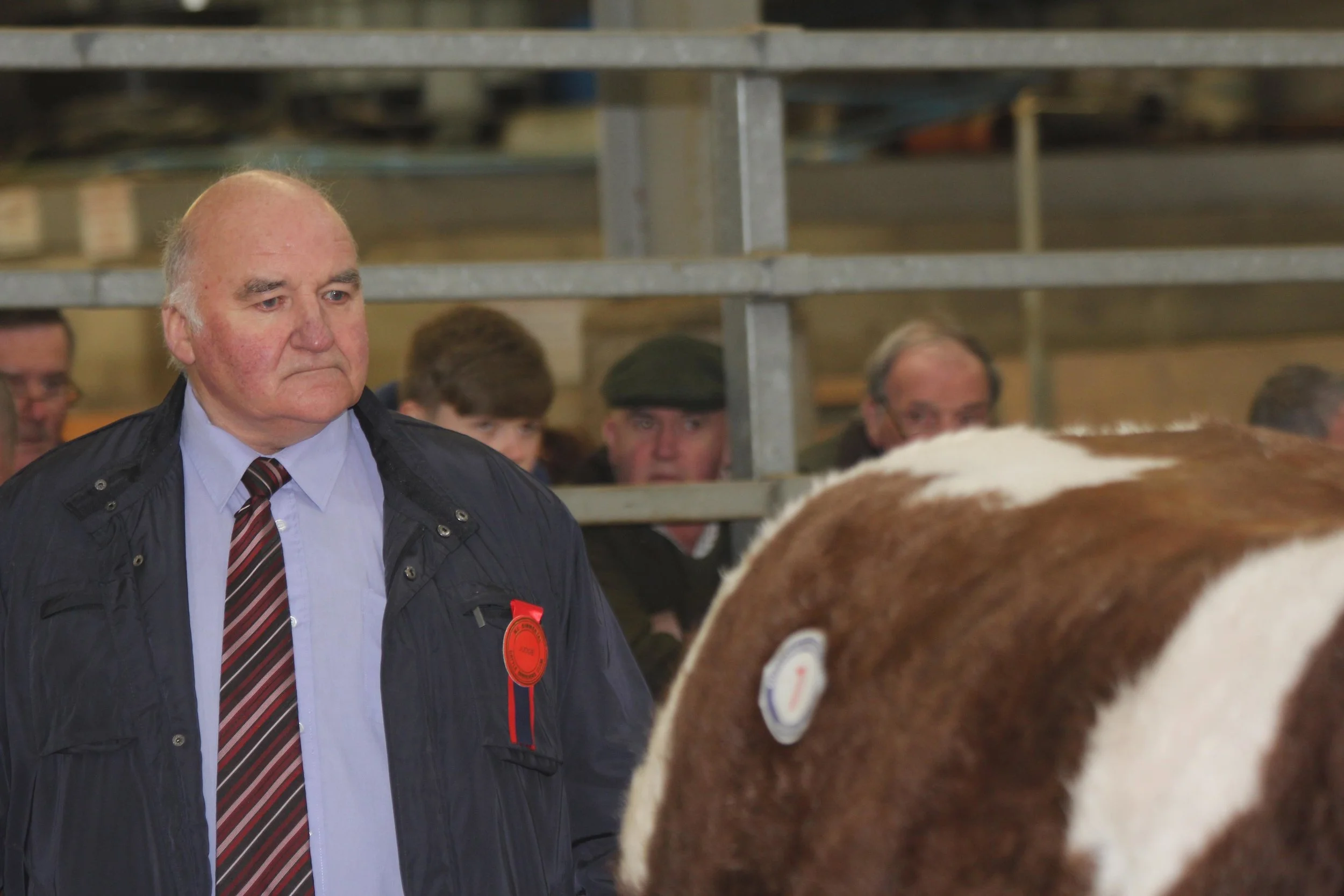 JUDGE TERRY COGHILL, ORKNEY.