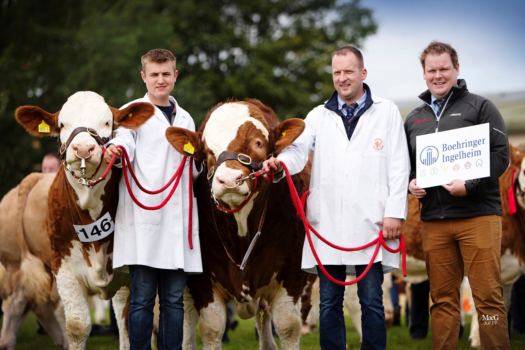 Lance Woods, Boehringer Ingelheim, congratulates Jonny Hazelton and Kyle Hayes on winning the class for the best pair of cattle owned by exhibitor.