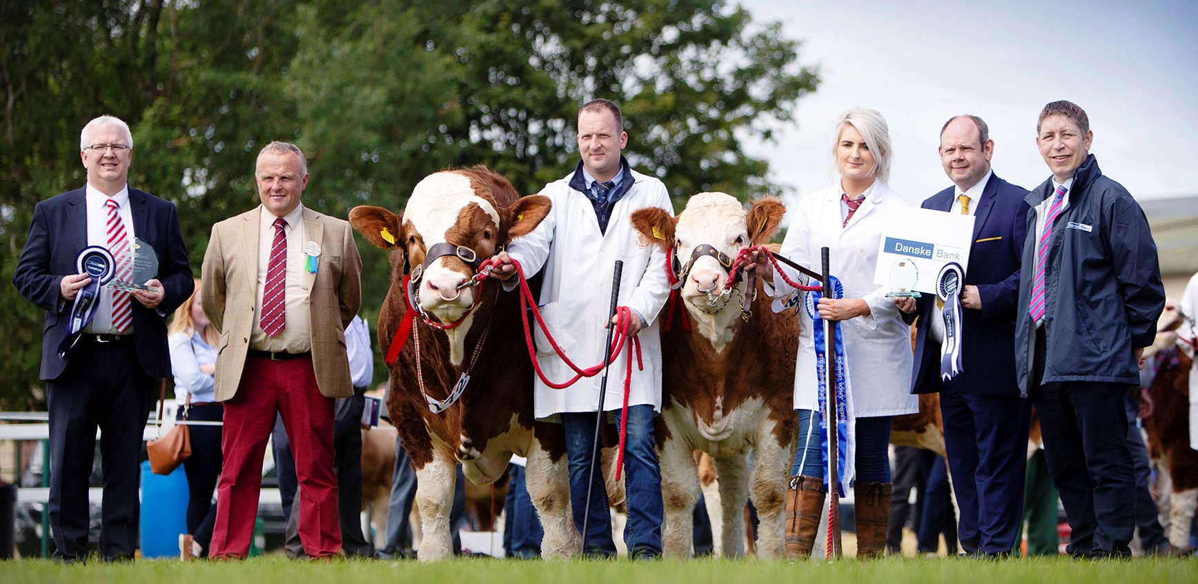 Pictured at the junior championship presentation at the NI National Simmental Show are, from left: Kilian McDonnell, Danske Bank; judge Michael Barlow; Jonny Hazelton, Dungannon; Julie Stinson, Enniskillen; Adrian Adams and Rodney Brown, Danske Bank.
