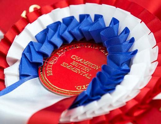 ROSETTE PIC.jpg