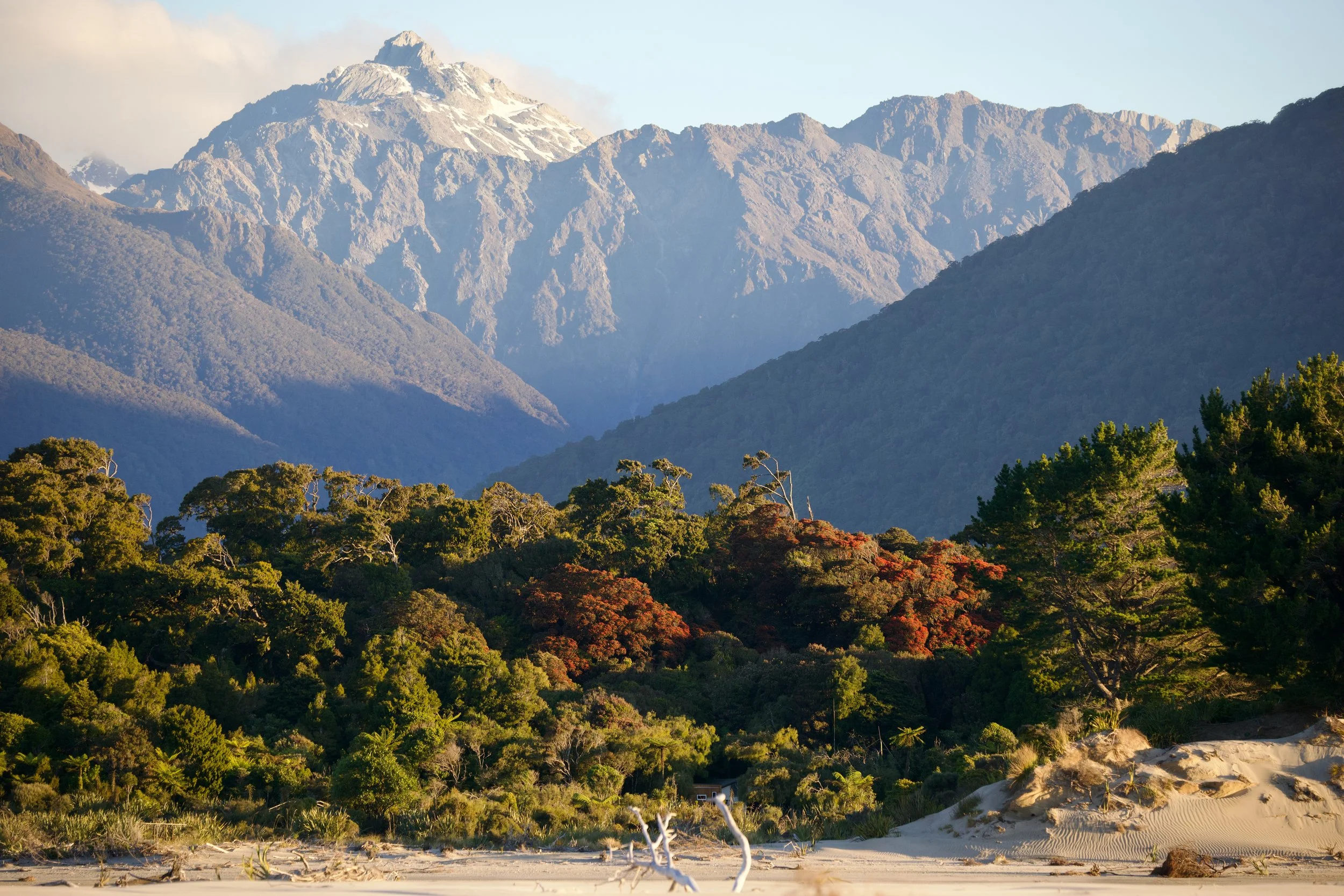 Awarua Guides