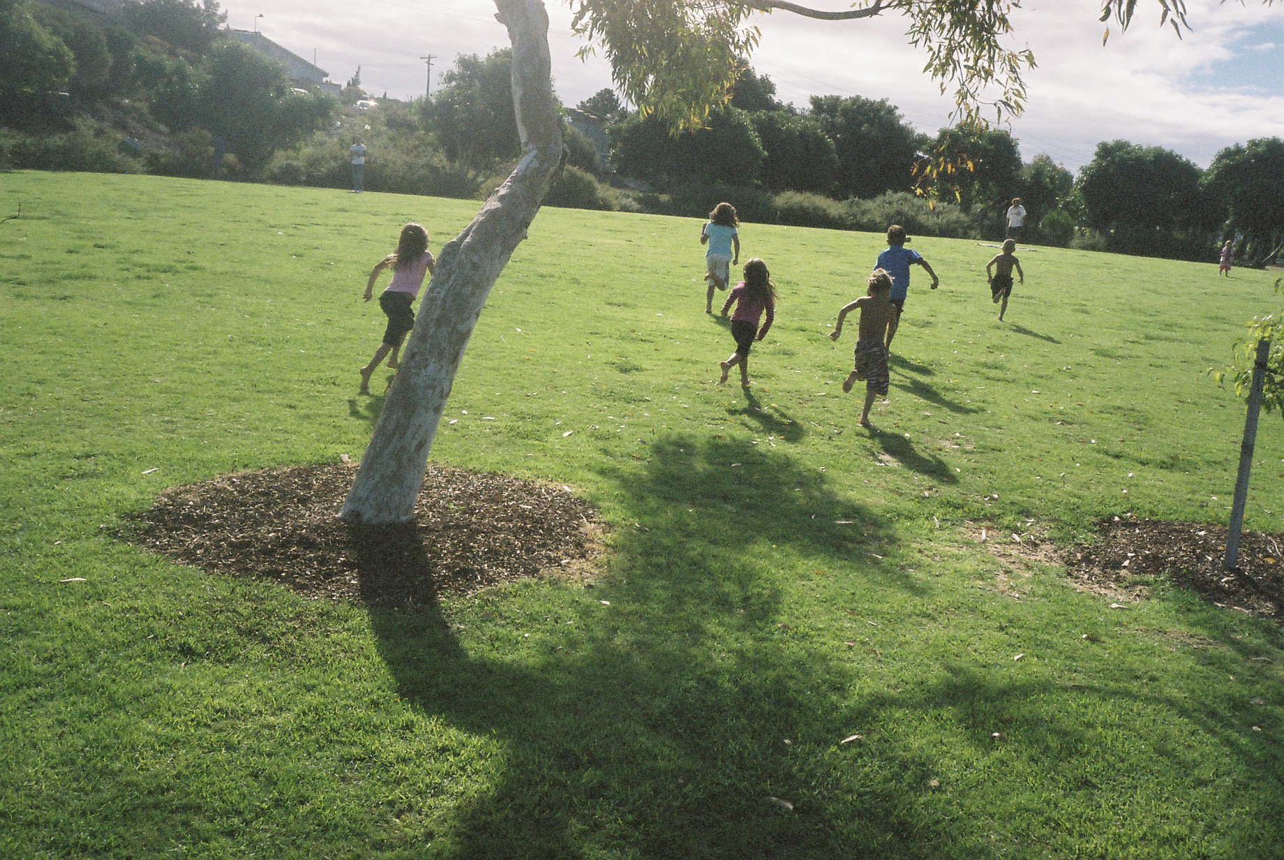 booyeembara_park_fremantle.JPG