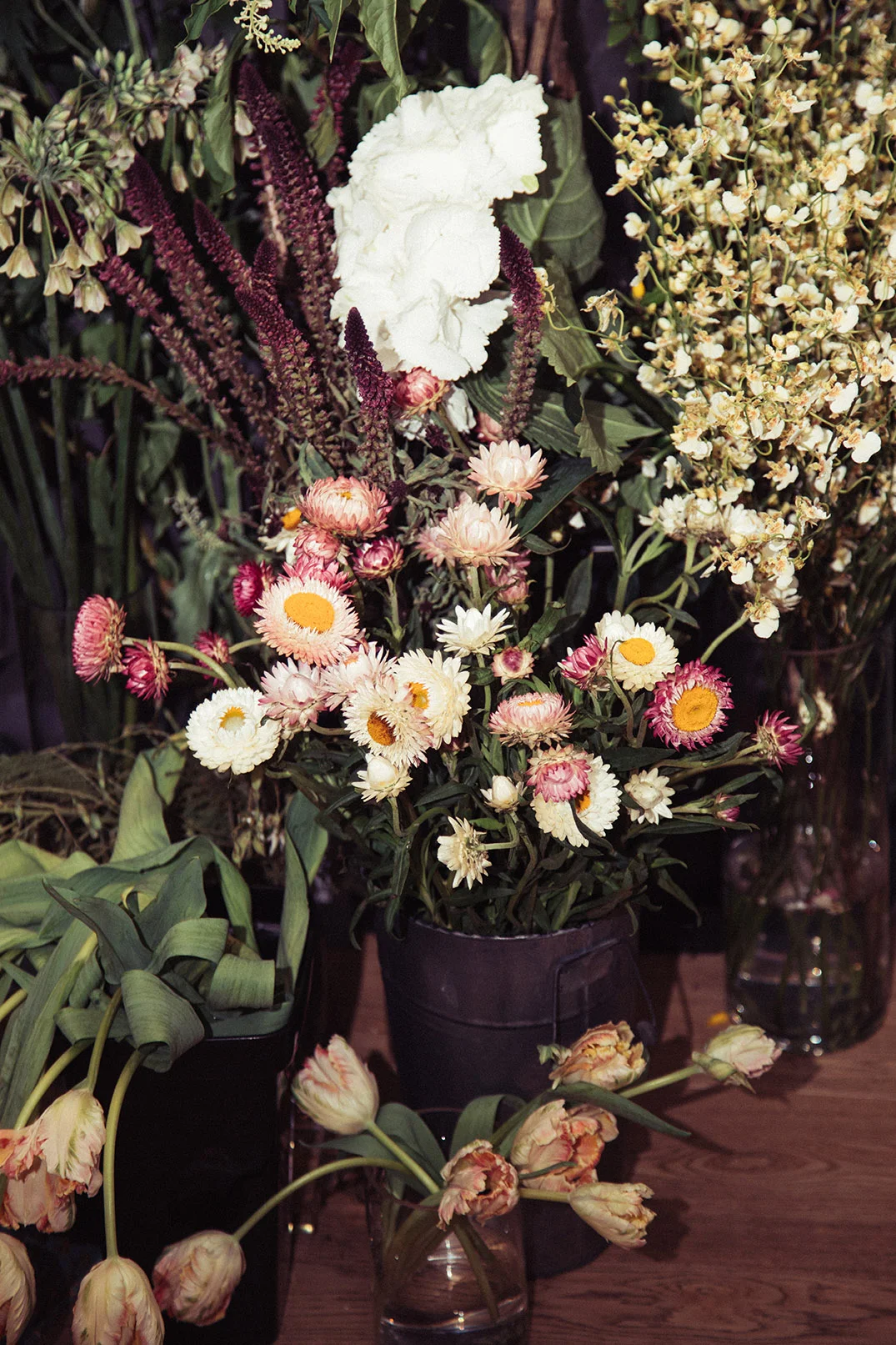 0R6A8761_lo.jpg
