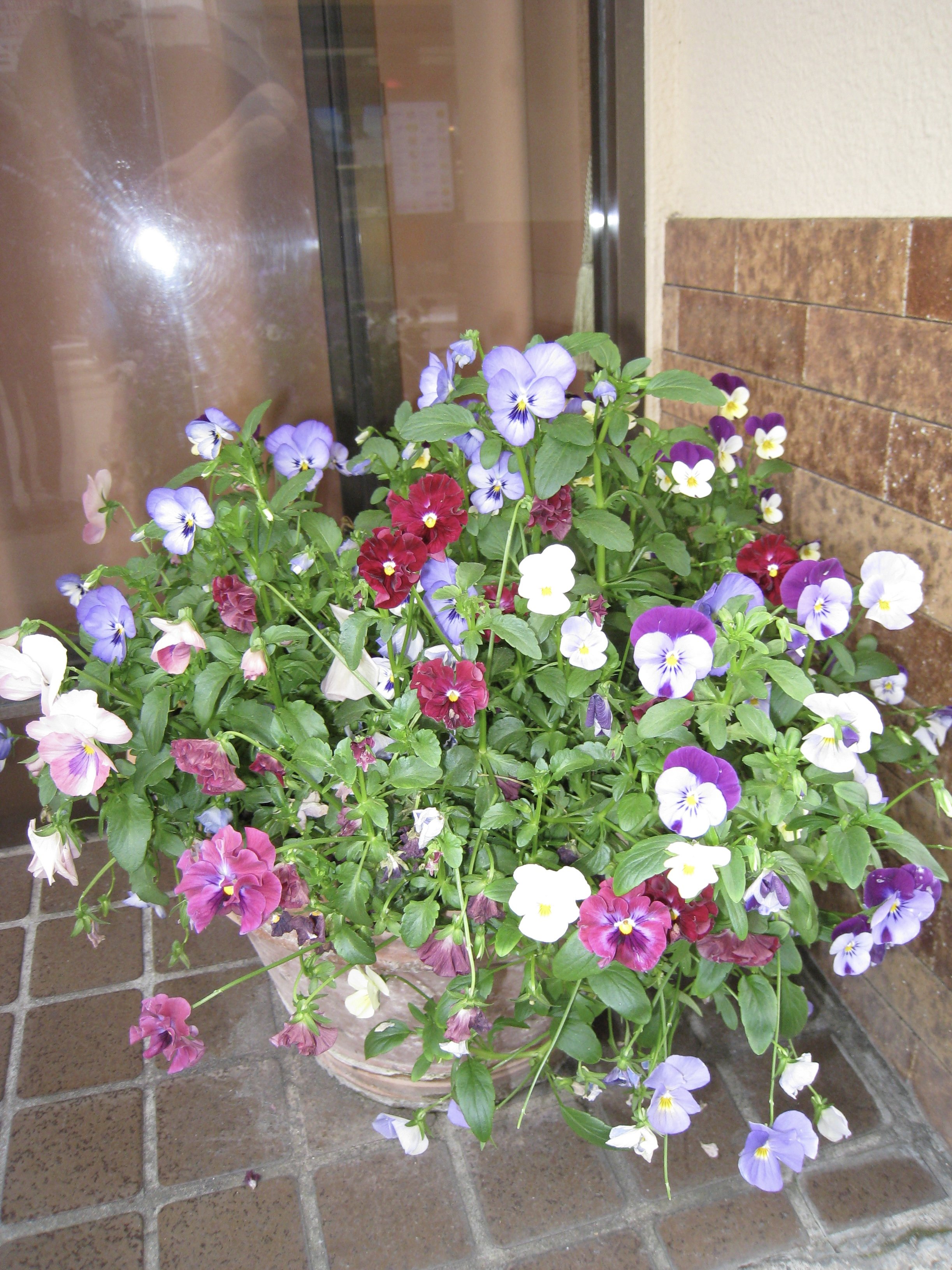 a084be2b858875b19518fc0bc616aa9b.jpg